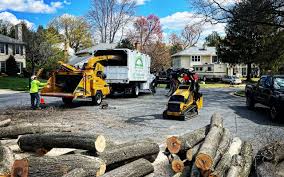 Best Lawn Pest Prevention  in Iola, KS